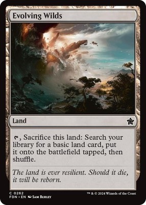 Evolving Wilds FOIL Foundations NM 262