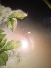 Vintage Antique Three Crown China Germany Porcelain Plate Pears & Blossoms guc — photo 4