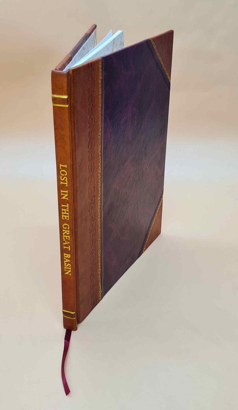 1923 Leather Bound Lost in the Great Basin - The Wonderful Underground City