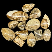 13 Pcs Natural Picture Jasper Cabochons 21-45mm Mixed Shapes Polished Gemstones