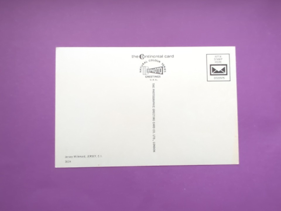 Postcard Vintage Jersey Milkmaid Jersey Channel Islands Continental