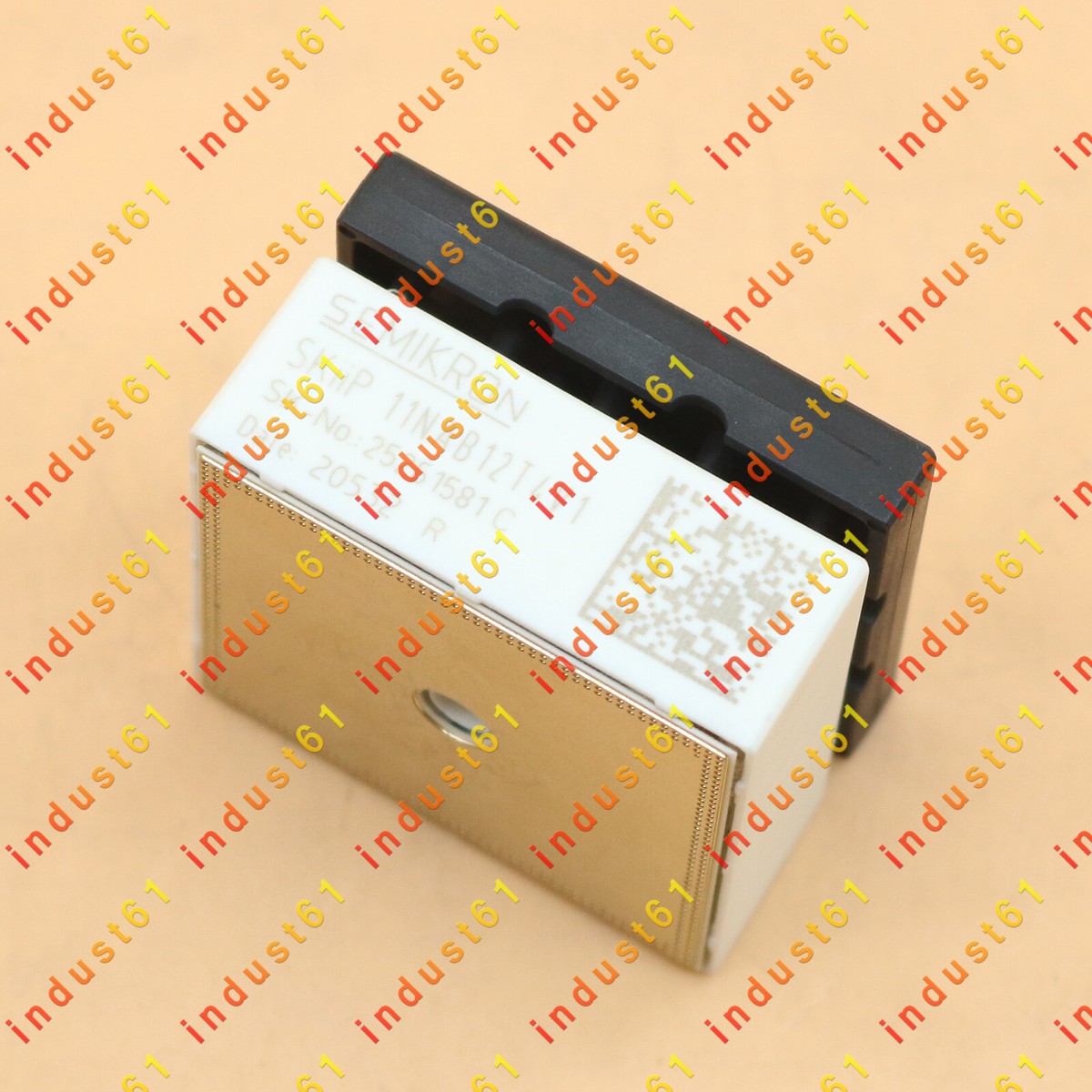Un nuovo modulo di alimentazione SEMIKRON SKIIP11NAB12T4V1 Un nuovo modulo di alimentazione SEMIKRON SKIIP11NAB12T4V1