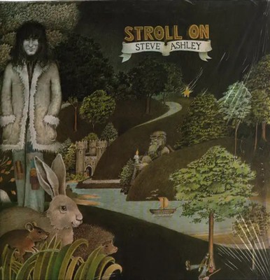 Steve Ashley Stroll On NEAR MINT Gull Records Vinyl LP