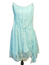 FASHION NOVA Lace Corset Mini Dress