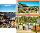 MAINE LOBSTER (3) Mint Continental Chrome Postcards Lot #13