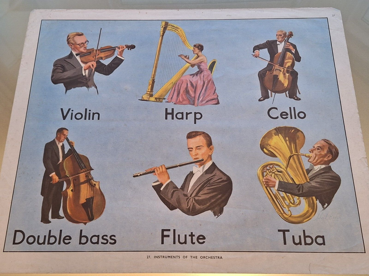Instruments Of The Orchestra Poster
