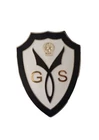 Militia Security Group Enamel Badge REPRODUCTION #2