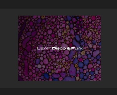 Native Instruments Leap Disco & Funk 