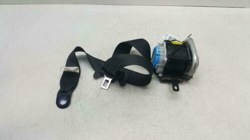 Cinghia Trapezoidale Bosch 13X1300 - Ricambio Auto, In Gomma Rinforzata, Resistente A Olio E Calore - Foto 8