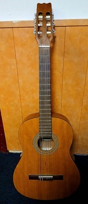 Gitarre Vintage VIC 1 G Hand Crafted Guitar Gitarrentasche Saiten