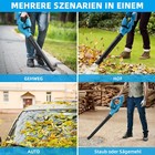 Bild 11 von 13