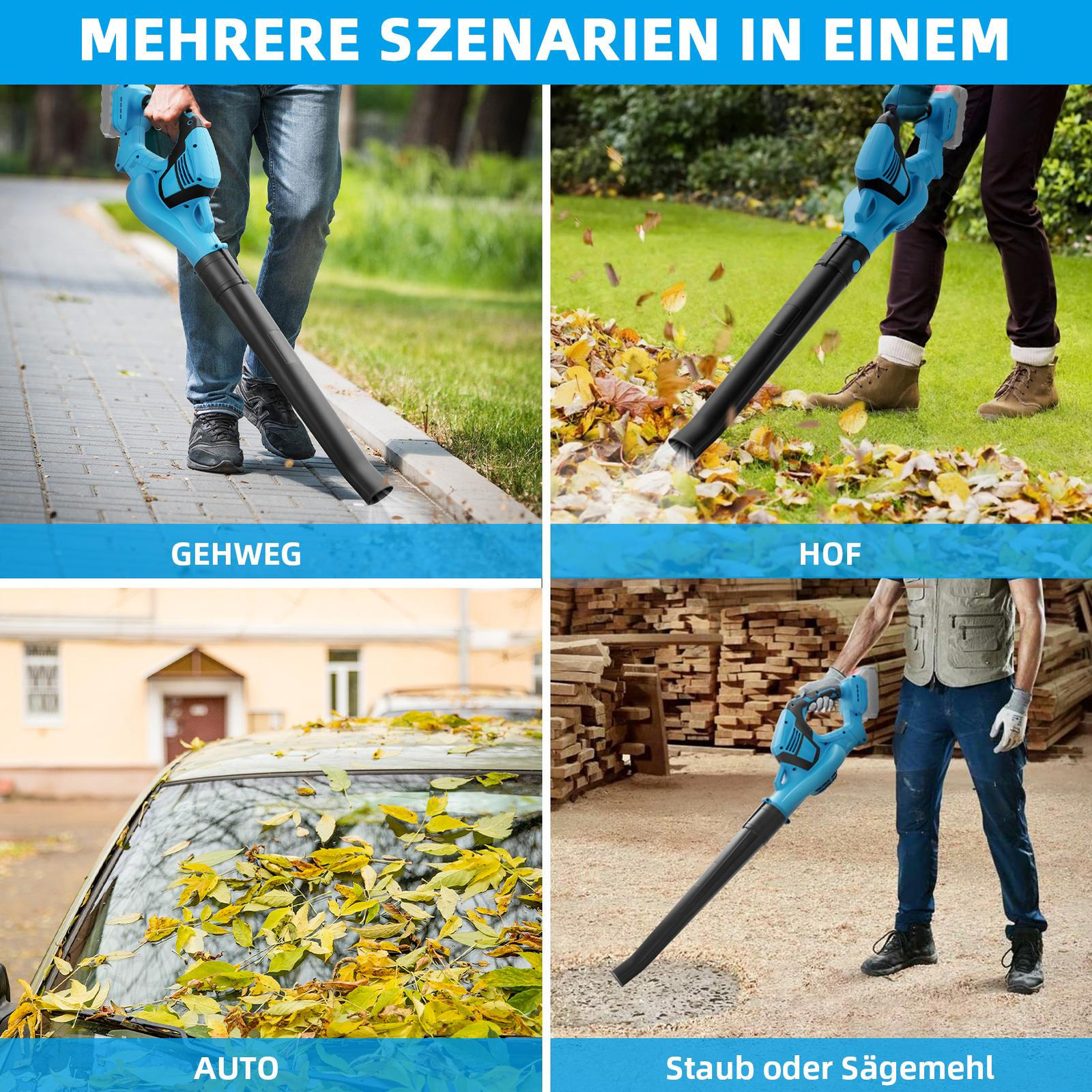 Bild 11 von 13