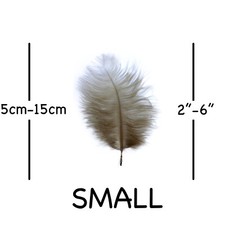Small Ostrich Feathers - 10