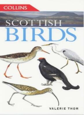 Scottish Birds By Valerie Thom