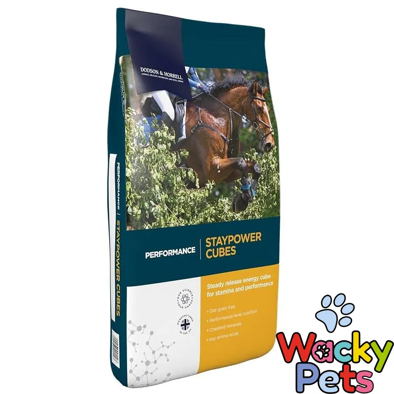 HORSE / PONY OATS / FOOD Dodson & Horrell Staypower Cubes 20kg