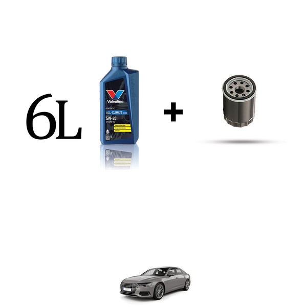 Set ÖLfilter Und 6L FüR Audi A6 (C5) 2.7 V6 Quattro 184Kw Von 2000-image