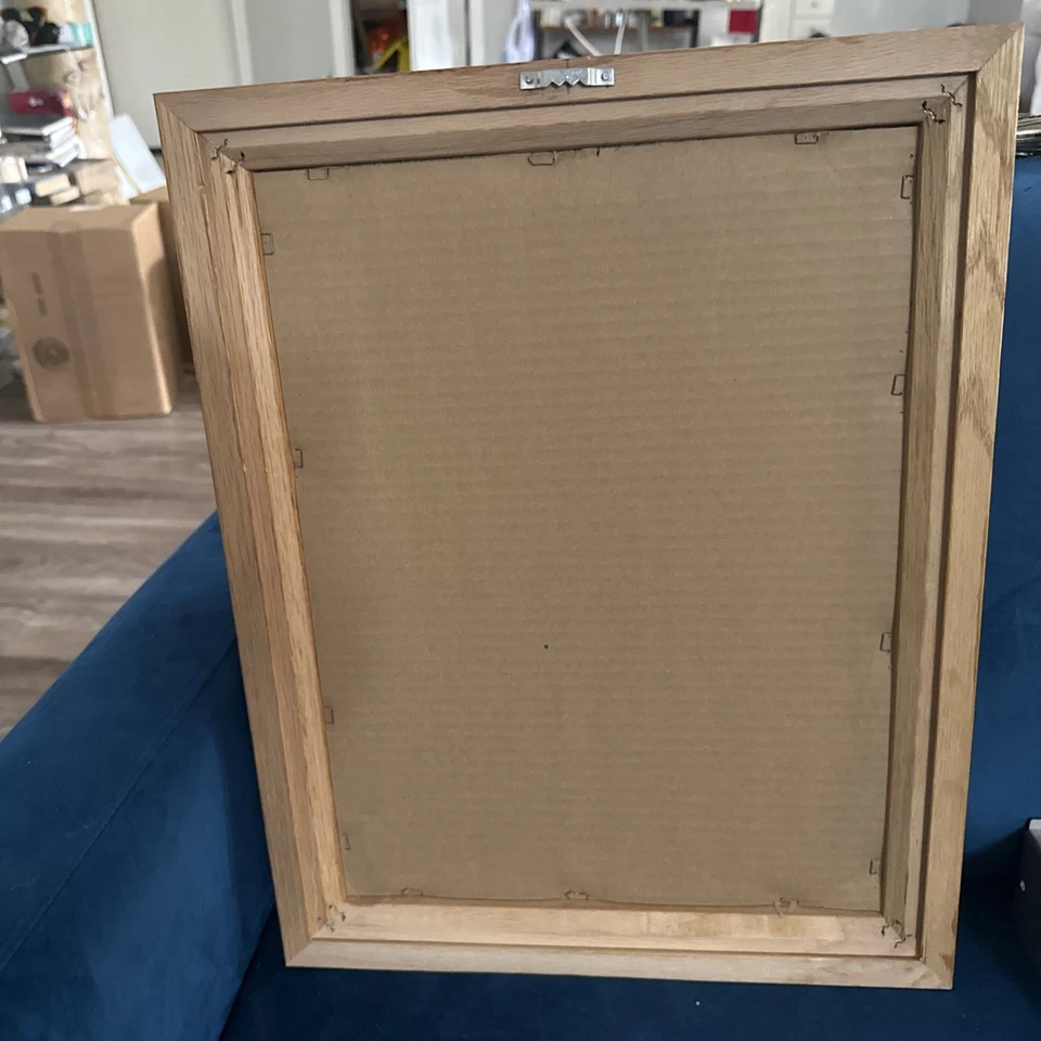 Фотоколлаж и статистическая табличка Дейла Эрнхардта «Запугиватель» No3 в рамке NASCAR - Изображение 3 из 3