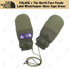 PALACE x The North Face Purple Label Windstopper Handschuh Salbeigrün
