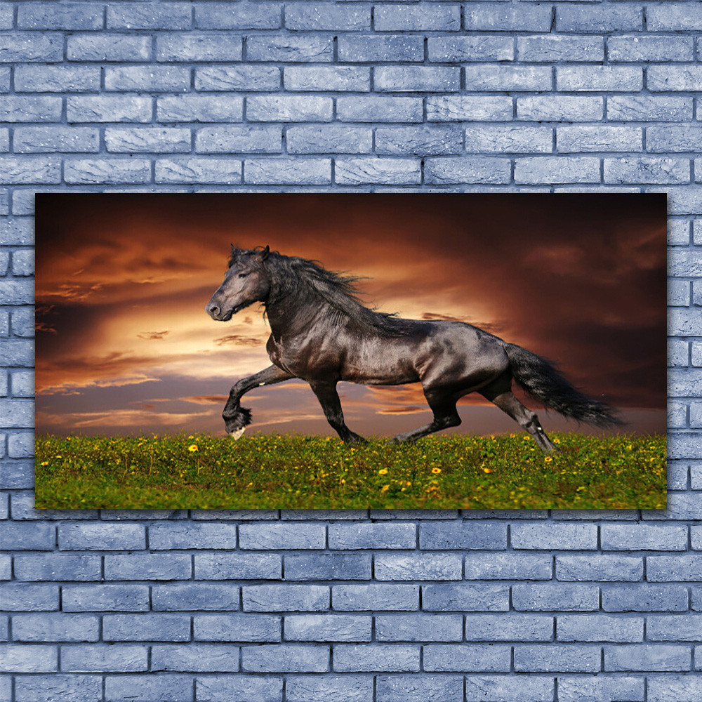 Tableau sur verre animaux pour salon moderne avec grand cheval noir dans sa prairie