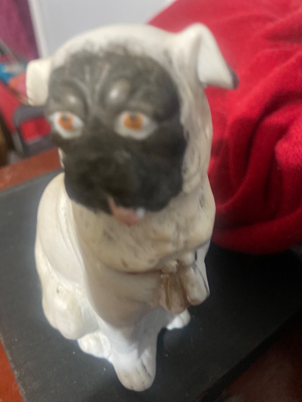 pug with tongue out antique beautiful 