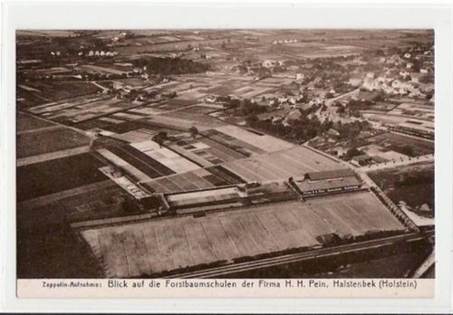 39068213 - Halstenbek, Blick a.d. Forstbaumschulen der Firma H.H. Pein,