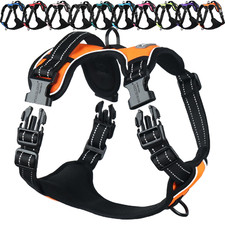 VIVAGLORY No Pull Dog Harness Adjustable Padded - XL Orange w/ Front Clip