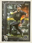 2025 Topps Brandon Lowe Base (Raw)