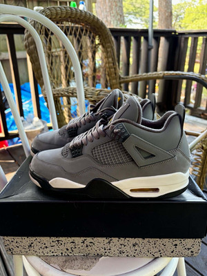 Jordan Air Jordan 4 Cool Grey 2019 Low Top Sneaker 308497-007 Men s
