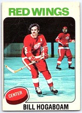 1975-76 O-Pee-Chee *C* Bill Hogaboam Detroit Red Wings #67