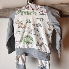 Kids Dinosaur Print Hoodie and Pants Set Gray Sleeve White 18-24m Dino Outfit
