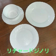 Richard Ginori Vecchio White Cup Saucer Plate 2 Different Sizes From Japan