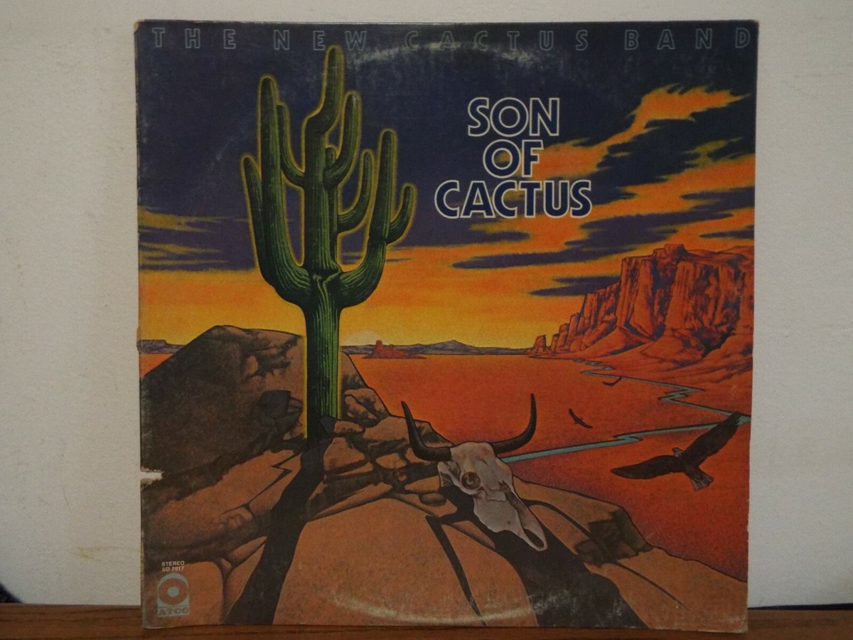 THE NEW CACTUS BAND SON OF CACTUS 1973 LP VINYL ALBUM