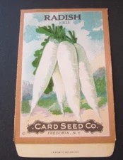 Old Vintage c.1910 - CARD SEED Co. - RADISH - Icicle - SEED PACKET