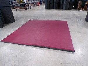 10' x 10' x 1 1/4" Dollamur Flexi-Roll MMA Wrestling Mat READ DESCRIPTION #8044