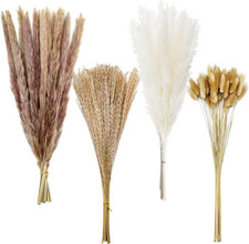 Dried Pampas Grass Decor, 100 Stems Bouquet with Bunny Tails  Reed Grass, Boho