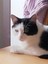 sandra_jussen