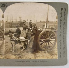 Stereoview Keystone View Company 2084 Milk Cart Antwerp Belgium Made In USA (O)