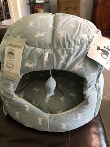 gucci collar for dogs