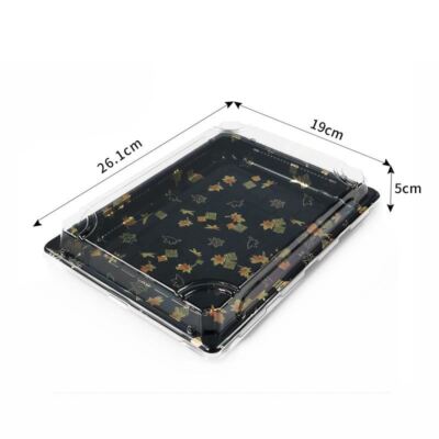 Große rechteckige Einweg-Sushi-Servierplatten mit transparenter Oberseite - transparente Box