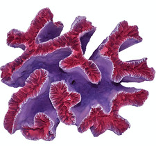 Komodo Curly Coral Ornament, Aquarium Decor