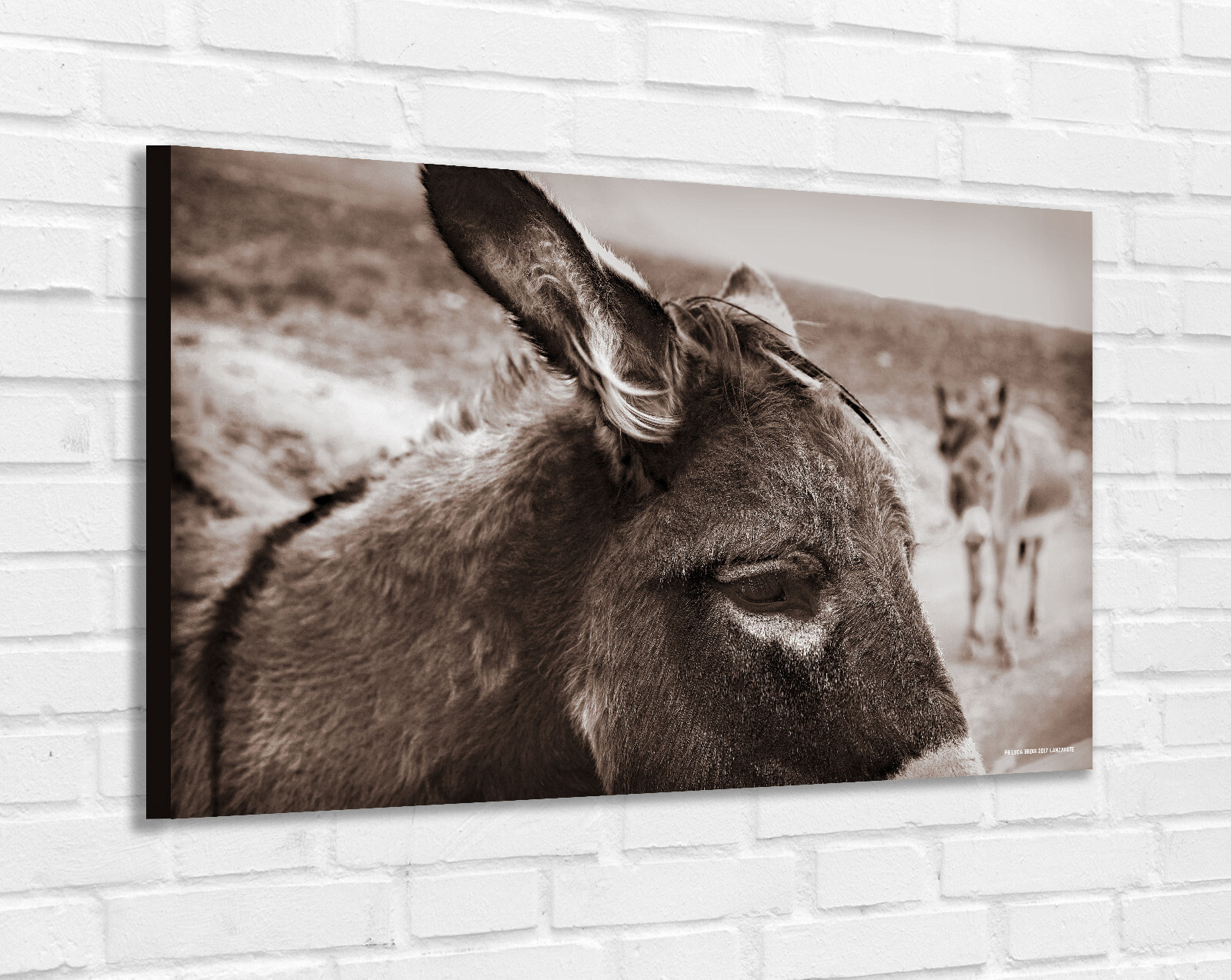 AUTHOR PHOTO PAINTING ON CANVAS - CANVAS ON WOODEN FRAMES - ABSTRACT