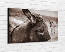 AUTHOR PHOTO PAINTING ON CANVAS - CANVAS ON WOODEN FRAMES - ABSTRACT