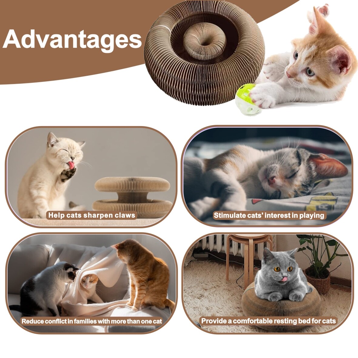 Organ Cat Scratching Board with Toy Bell Cat Grinding Claw Cat Scratcher eBay