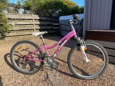 Trek MT 220 Boys Mountain Bike - 21 