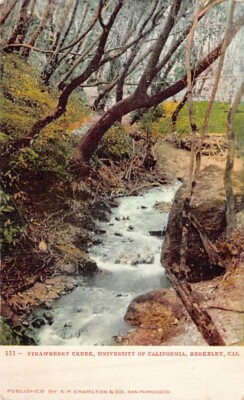 Postcard CA: Strawberry Creek, UC Berkeley, California, UDB 1900's Antique