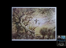 John Cowan Gadwalls Ducks Hunt Perches & Pleasures with Short Story 9x11