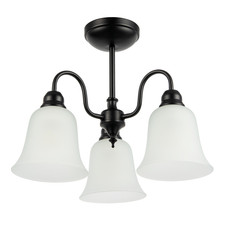 Classic and Ornate Matte Black Ceiling Light Fitting with Glass Shades by Hap...