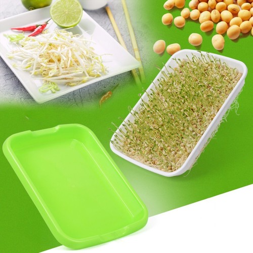 New Sprout Tray With Grid Soil-Hydroponic Bean Sprout Plate With Cover - Foto 24 di 24
