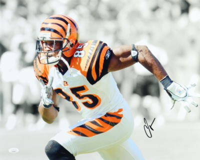 CHAD 'Ocho Cinco' JOHNSON Signed Cincinnati Bengals 16x20 Photo