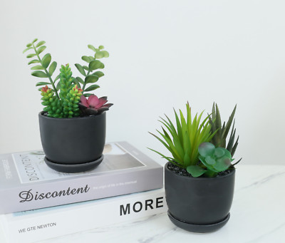 2 pcs artificial faux potted succulent plants home kitchen office occasion decor
